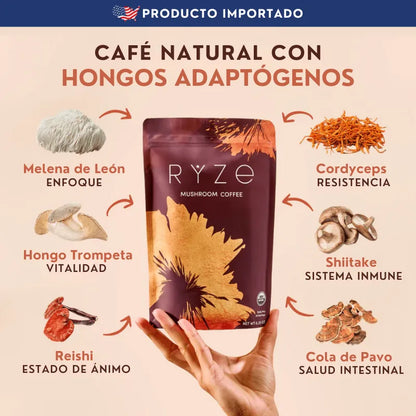 Café RYZE Hongos Adaptógenos | Kit para transformar cuerpo y mente