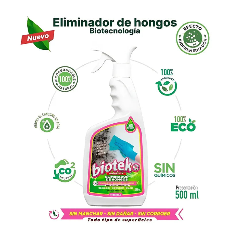 Encabezado