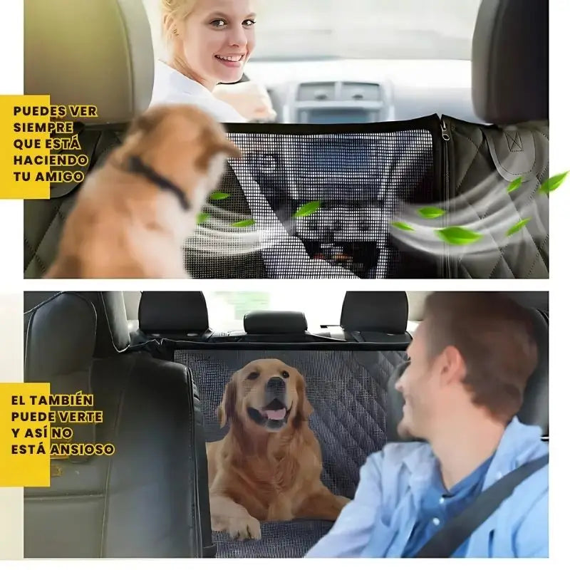 PET COVER® | CARRO PROTEGIDO Y PERRO FELIZ 🚗❤️🐾