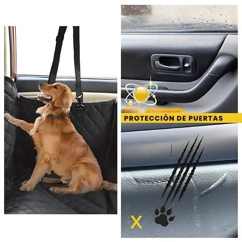 Encabezado