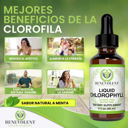 Gotas de Clorofila 🌿 Desinflamante Natural + Energía