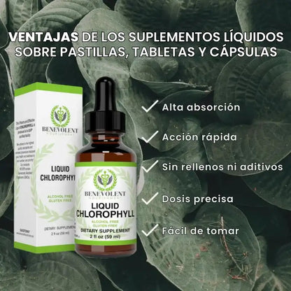 Gotas de Clorofila 🌿 Desinflamante Natural + Energía