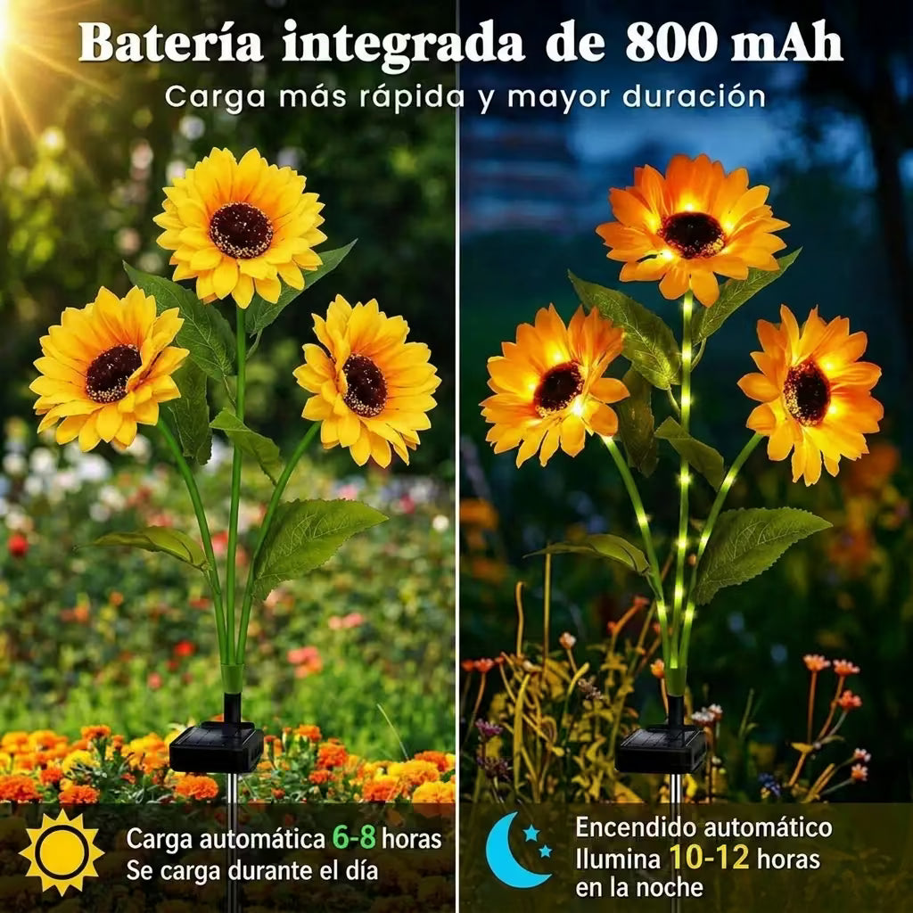 SunGlow™ Girasoles Solares – Ilumina tu jardín sin cables y sin esfuerzo