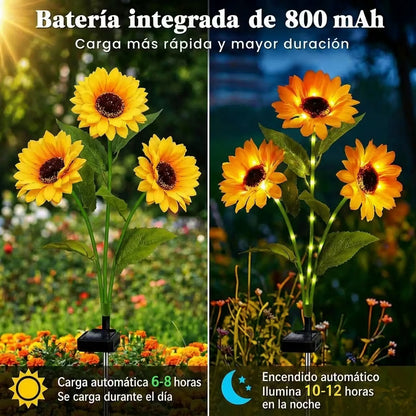 SunGlow™ Girasoles Solares – Ilumina tu jardín sin cables y sin esfuerzo