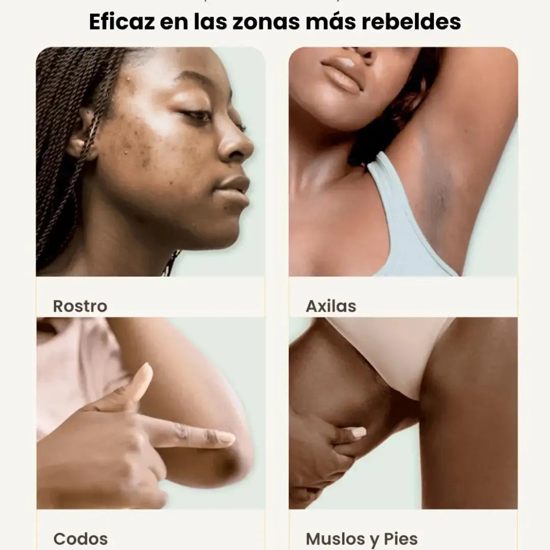 Encabezado