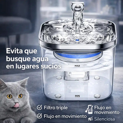 HydroFlow™ | Sistema Inteligente de Hidratación para Mascotas