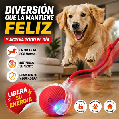 CrazyBall™ Pelota Loca Para Mascotas – Diversión automática que elimina el aburrimiento
