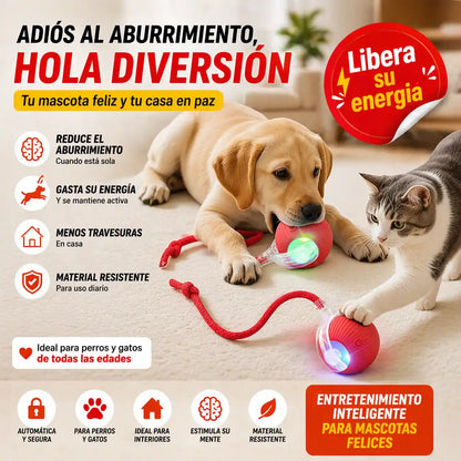 CrazyBall™ Pelota Loca Para Mascotas – Diversión automática que elimina el aburrimiento