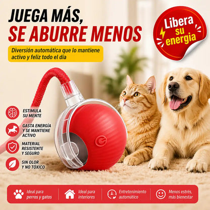 CrazyBall™ Pelota Loca Para Mascotas – Diversión automática que elimina el aburrimiento