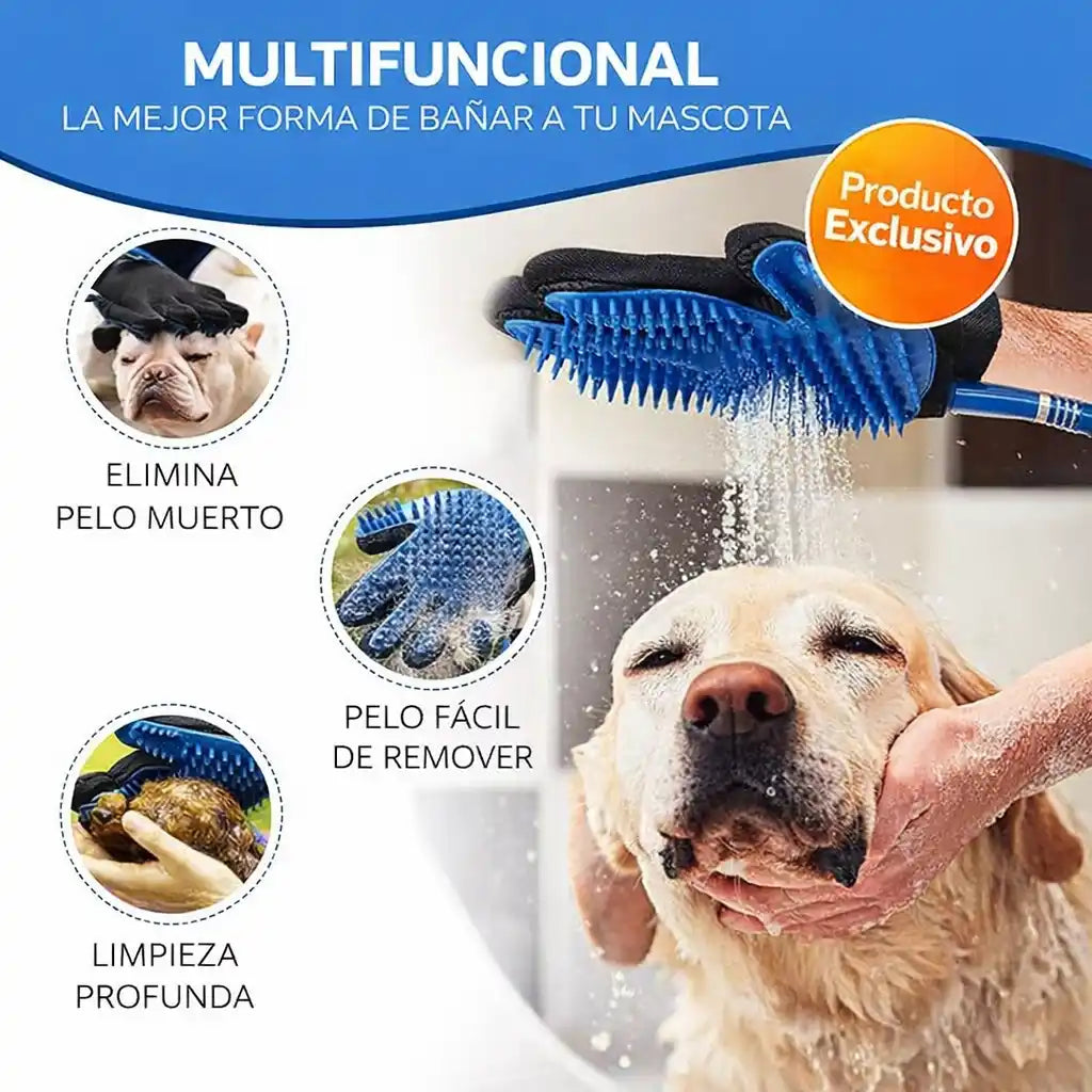 Encabezado