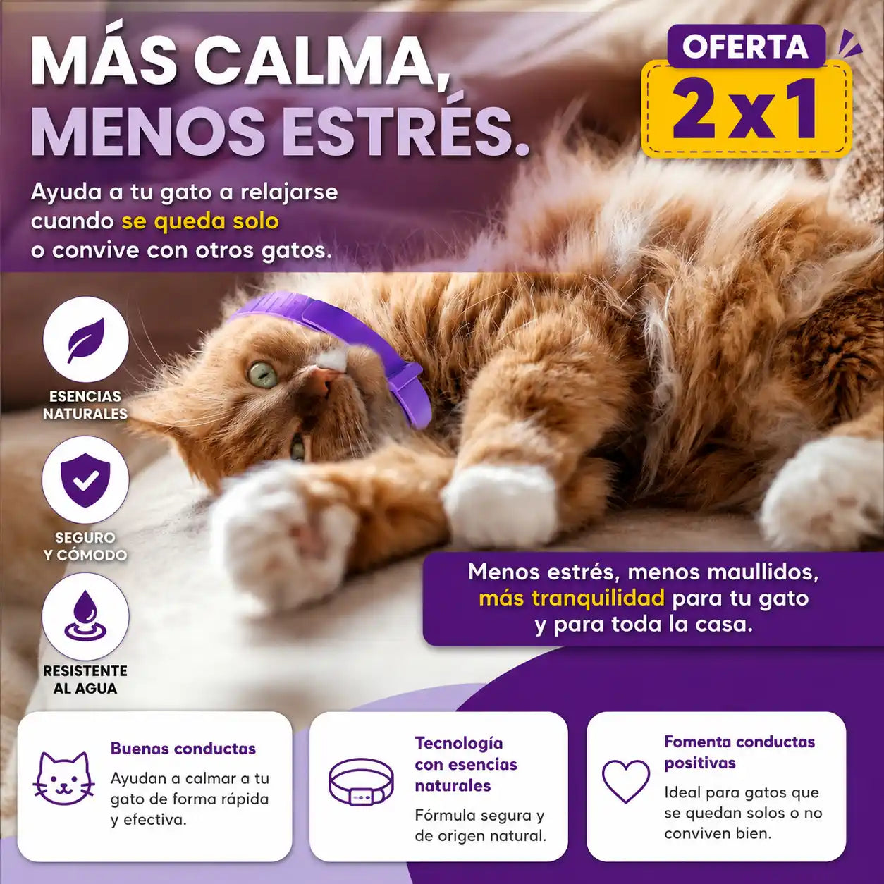 OFERTA 2X1 CalmPaw® Collar Antiestrés para Gatos — Relaja a tu gatito cuando se queda solo