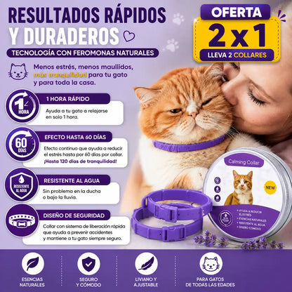 OFERTA 2X1 CalmPaw® Collar Antiestrés para Gatos — Relaja a tu gatito cuando se queda solo