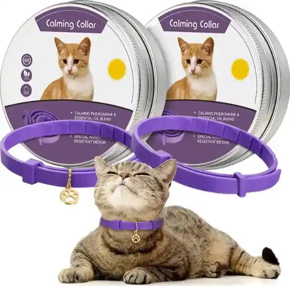 OFERTA 2X1 CalmPaw® Collar Antiestrés para Gatos — Relaja a tu gatito cuando se queda solo