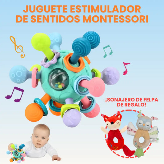BabySens® | Pelota Montessori de estimulación + Obsequio
