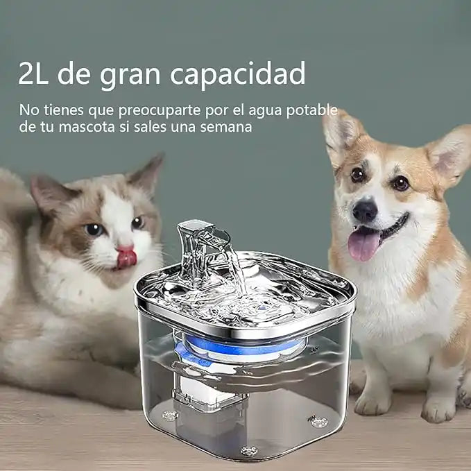 HydroFlow™ | Sistema Inteligente de Hidratación para Mascotas