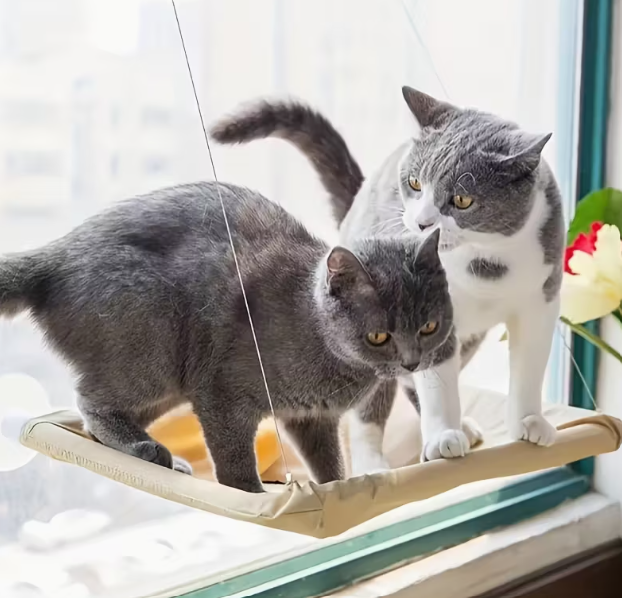 SunNest® Cama Colgante para Gato – Más Sol, Más Vista, Más Felicidad