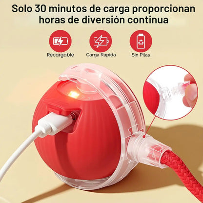 CrazyBall™ Pelota Loca Para Mascotas – Diversión automática que elimina el aburrimiento