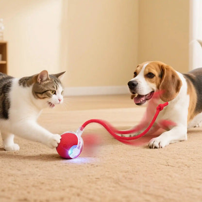 CrazyBall™ Pelota Loca Para Mascotas – Diversión automática que elimina el aburrimiento